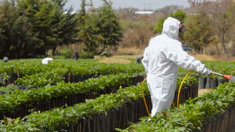 Imágenes-De-Un-Agricultor-Realizando-El-Proceso-De-Aplicación-De-Agroquímicos-Y-Fertilizantes