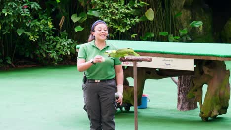 Trainer-Zusammen-Mit-Tiertraining,-Das-Eine-Show-Im-Großen-Zoo-Durchführt