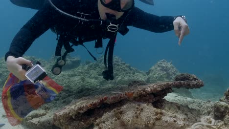 Scuba-Diver-Zeigt-Während-Der-Ozeanreinigung-Auf-Eine-Seegurke-Auf-Hartkorallen-Am-Riff