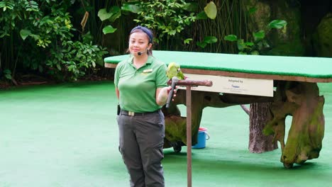 Trainer-together-with-animal-training-performing-show-in-big-zoo