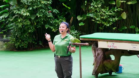 Trainer-Zusammen-Mit-Tiertraining,-Das-Eine-Show-Im-Großen-Zoo-Durchführt