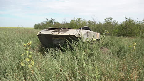 Ein-Russischer-Gepanzerter-Personentransporter-Mit-Der-Markanten-„z“-Kennzeichnung-Wurde-In-Einem-Feld-Mit-Hohem-Gras-Und-Gelben-Sonnenblumen-Nahe-Der-Frontlinie-Des-Von-Russland-Besetzten-Cherson-In-Der-Ukraine-Zurückgelassen