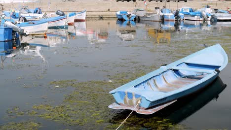 Kleine-Blaue-Und-Weiße-Fischerboote-In-Sozopol-Beherbergen-Schwarzes-Meer