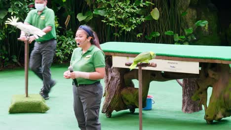 Trainer-together-with-animal-training-performing-show-in-big-zoo