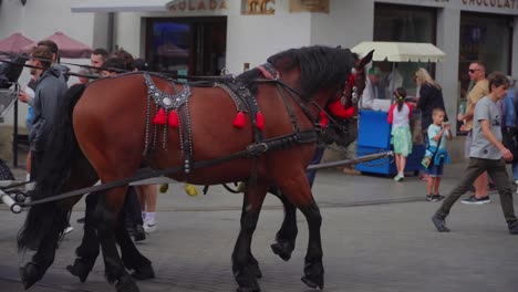 Video-of-two-men-driving-a-horse-drawn-carriage-through-the-streets-of-Kraków,-Poland,-while-passing-by-pedestrians