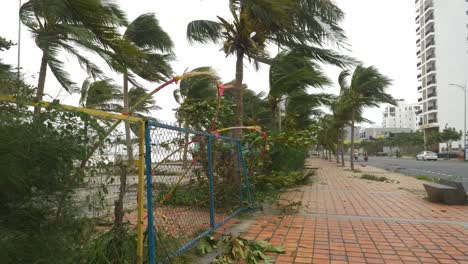 Fuerte-Salvaje-En-Un-árbol-Tropical-Durante-La-Tormenta,-Agitando-árboles-Por-Una-Carretera-Costera-Húmeda-En-La-Ciudad-De-Da-Nang,-Vietnam