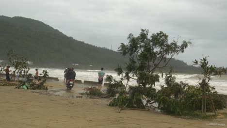 People-and-Broken-Trees-on-Beach-After-Tropical-Storm-Pass-Over-Coastal-City