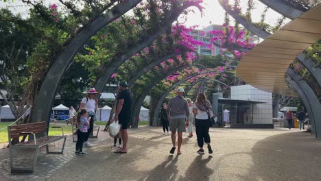 Toma-De-Mano-De-Punto-De-Vista-Caminando-Por-La-Pasarela-Peatonal-Del-Gran-Cenador-Cubierta-Con-Buganvillas-De-Flores-Rosas-Brillantes-En-La-Temporada-De-Primavera-En-Una-Idílica-Tarde-De-Fin-De-Semana