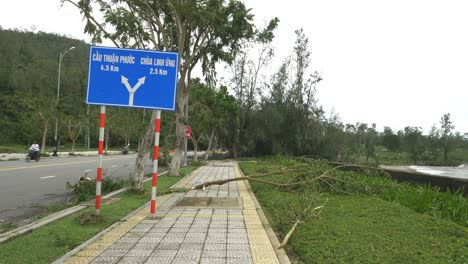 Daños-Después-De-La-Tormenta-Tropical-Por-La-Carretera-En-Da-Nang,-Vietnam,-árboles-Rotos-Y-Ramas-Por-El-Cartel-De-La-Calle