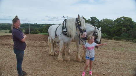 Weibliches-Kind-Berührt-Shire-Horse-Bei-Der-Großen-Trethew-Rallye-In-Liskeard,-Großbritannien