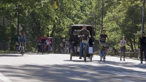 Rickshaw-in-New-York-Central-Park-Slow-Motion-4K