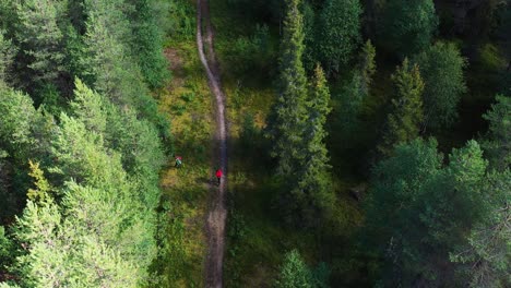 Antena-De-Excursionistas-Tomando-Un-Descanso-En-El-Denso-Bosque-De-Pinos-En-Finlandia