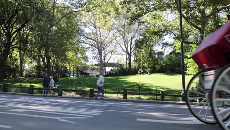 Caballo-Y-Carruaje-Del-Parque-Central-Desde-Un-Lado