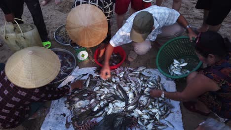 Fischer-Und-Frauen,-Die-Den-Fang-Von-Einem-Fischerboot-An-Einem-Vietnamesischen-Strand-Im-Frühen-Morgenlicht-Sortieren