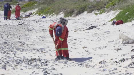 Toma-En-Cámara-Lenta-De-Un-Limpiador-Buscando-Basura-En-Una-Playa-De-Arena-Usando-Una-Pala,-Ciudad-Del-Cabo