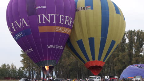 Grandes-Globos-De-Aire-Caliente-Morados-Y-Amarillos-Casi-Inflados,-Preparándose-Para-El-Lanzamiento