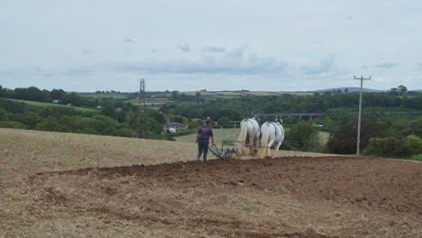 Caballos-De-Trabajo-Y-Una-Mujer-Arando-En-El-Campo-Durante-El-Rally-Great-Trethew-En-Liskeard,-Reino-Unido