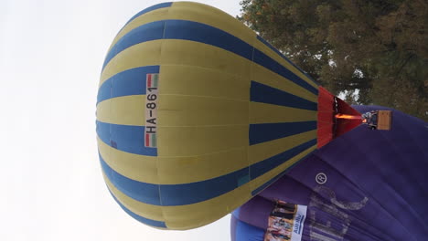 Video-Vertical-Del-Globo-Aerostático-Amarillo-Despegando,-Elevándose-Por-Encima-De-Los-árboles