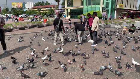 People-feed-hungry-pigeons-outside-the-famous-Batu-Caves-Temple