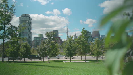 Cn-Tower-Y-Otros-Edificios-En-El-Centro-De-Toronto-Con-Hojas-En-Primer-Plano