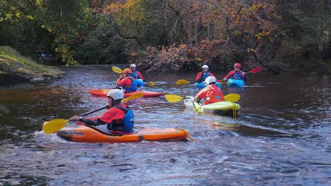 Canoas-Jugando-En-El-Río