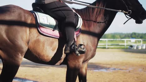 Horse-Rider-Training-A-Dark-Brown-One-Eye-Horse-In-Paddock-On-A-Sunny-Day