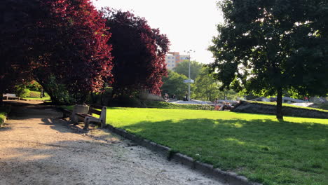 Panorama-Del-Skatepark-En-El-Parque-De-La-Ciudad