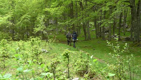 Two-people-hiking-alone-along-the-trail-in-the-mountains-in-a-forest-on-a-sunny-day-in-Croatia