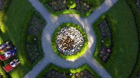 Vista-Aérea-Ascendente-Y-Giratoria-De-Un-Jardín-De-Rosas-Prolijamente-Cuidado-Y-Adornado