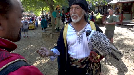 Un-Hombre-Vestido-Con-Un-Traje-Renacentista-Que-Muestra-Un-Ave-De-Rapiña-Encapuchada,-Habla-Con-Los-Asistentes-Al-Festival