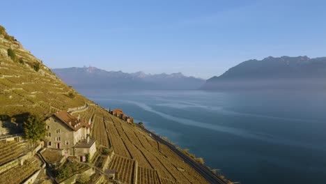 Fliegen-In-Der-Nähe-Von-Typischen-Häusern-Im-Lavaux-weinberg,-Dem-Léman-see-Und-Den-Alpen-Im-Hintergrund