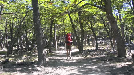 Young-woman-trekking-in-the-forest-around-Fitz-Roy,-Patagonia,-Argentina