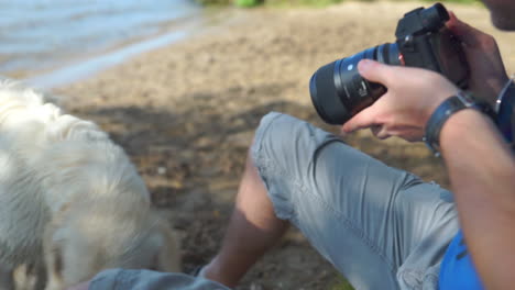 Kamera-Mit-Spielenden-Hunden-Im-Hintergrund