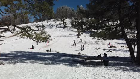 Menschen,-Die-Nach-Einem-Wintersturm-Auf-Einem-Großen-Schneebedeckten-Hügel-Außerhalb-Von-San-Diego-Schlitten-Fahren