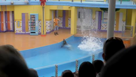 Eine-Kegelrobbe-In-Seaworld-Führt-Während-Einer-Kindershow-Einen-Hohen-Tauchgang-Durch,-Spritzt-Einen-Trainer-Und-Schwimmt-Davon,-Zeitlupe