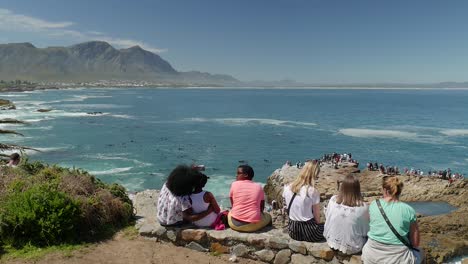 Grupo-Viendo-Ballenas-En-Walker-Bay-Desde-Un-Punto-De-Vista-Y-Tomando-Selfies