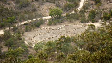 Geoglifo-De-Un-Pájaro-En-El-Parque-Nacional-You-Yangs,-Australia