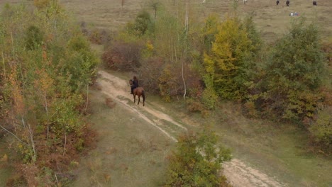 Aerial-shot-of-girl-ride-horse-in-grass-field