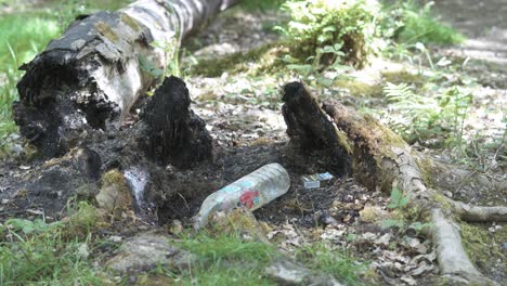 Productos-De-Desecho-De-Plástico-En-Medio-De-Un-Bosque