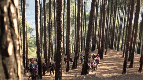 Excursionistas-Del-Himalaya-Que-Comienzan-Su-Viaje-De-Trekking-Para-Llegar-Al-Destino