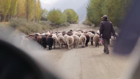 Driving-and-travelling-through-the-amazing-Barskoon-Valley-in-Kyrgyzstan-Central-Asia