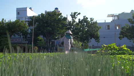 Woman-Farmer-Watering-Crops-and-Vegetables-with-Buckets-on-Shoulders---Organic-Urban-Farming-Concept