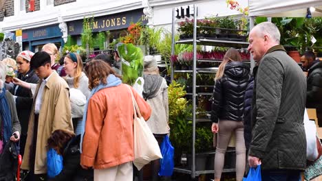 Gente-Comprando-Plantas-De-Interior-En-El-Famoso-Mercado-De-Flores-De-Columbia-Road