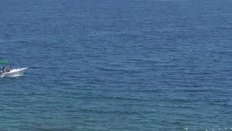 Navigating-white-motorboat-with-seagulls-flying-over-the-sea-of-the-coast-of-Postira,-Brac-island,-Croatia