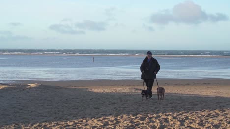 Mann-Geht-Mit-Seinen-Hunden-An-Der-Meeresküste-Von-Texel-Auf-Den-Watteninseln,-Niederlande---Breiter-Slowmo-Schuss