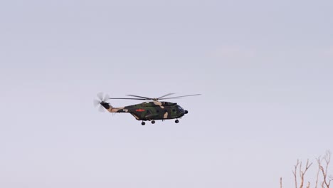 Chinese-People's-Liberation-Army-Z-20-Helicopter-from-Hong-Kong-Shek-Kong-Garrison-Base-Landing-Behind-Trees