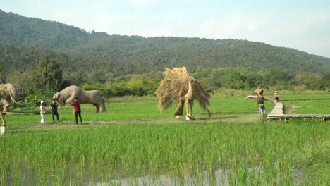 Schöner-Tageslichtwanderweg-Im-Strohskulpturenpark-In-Chiang-Mai,-Thailand