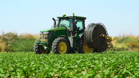 Tractor-places-plastic-drips-in-a-corn-field,-Green-corn-field,-At-sunset,-John-Deere-Tractor,-Slow-Motion