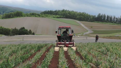 Ackerschlepper,-Der-Sich-Durch-Das-Landfeld-Im-Japanischen-Dorf-Bewegt,-Rückansicht