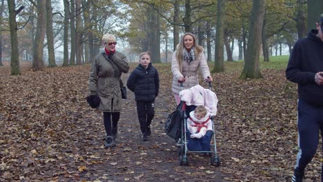 Familie-Im-Park-Spazieren.-Statische-Aufnahme